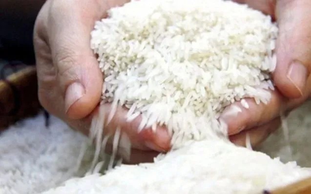 Giá gạo Ấn Độ chạm đỉnh gần một tháng