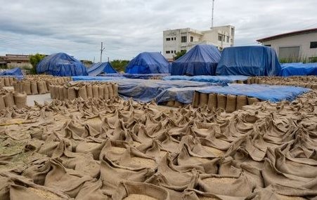 Thương nhân Việt Nam đón tin vui: Một mặt hàng nhập khẩu từ Campuchia sẽ được miễn thuế 0%