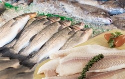 550 nhà hàng Nhật dùng 1 loại cá sông Việt Nam thay thế lươn nướng xa xỉ, tạo kỷ lục 34 triệu đô la