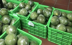 Tin vui: Loại quả Việt Nam trồng hơn 100.000 ha vừa chính thức có “visa” sang Trung Quốc