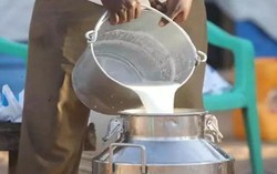 Đột kích một căn nhà lúc 1 giờ sáng, công an triệt phá đường dây sản xuất sữa giả từ hóa chất, tịch thu hàng nghìn lít dung dịch và máy trộn công nghiệp