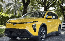 Chỉ xếp thứ 2 toàn Đông Nam Á về tiêu thụ xe điện, Việt Nam vẫn làm được điều mà 'anh lớn' không thể