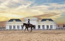 Ông Phạm Nhật Vượng xây một công trình 30ha duy nhất tại Việt Nam dành cho môn thể thao từng gắn với giới quý tộc châu Âu tại “đảo tỷ phú” 877ha vốn đầu tư 2,4 tỷ USD