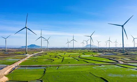 Cơ hội đầu tư năng lượng tái tạo nhờ chính sách mới