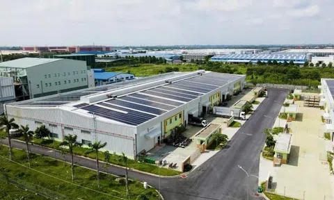 CJ Feed&Care cải thiện hệ số chuyển đổi thức ăn trong chăn nuôi