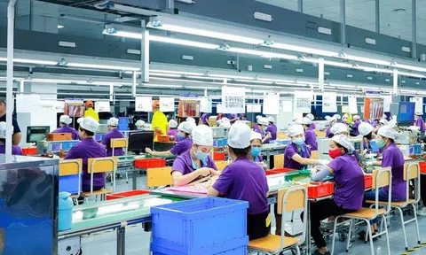 Nghệ An: Vượt thiên tai, tăng trưởng kinh tế 9 tháng đầu năm đứng thứ 11 cả nước