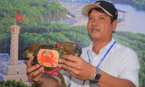 Sắp diễn ra ngày hội cua, cua biển Cà Mau tăng giá mạnh