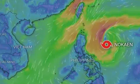 Bão Nokaen sắp đổi hướng, có ảnh hưởng tới nước ta?