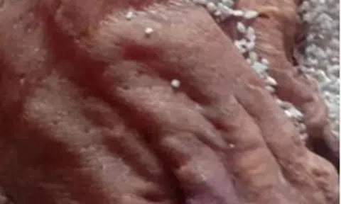 Mở thùng gạo phủ bụi, người đàn ông phát hiện vật thể khô bị lãng quên 50 năm, giá trị ngang căn biệt thự