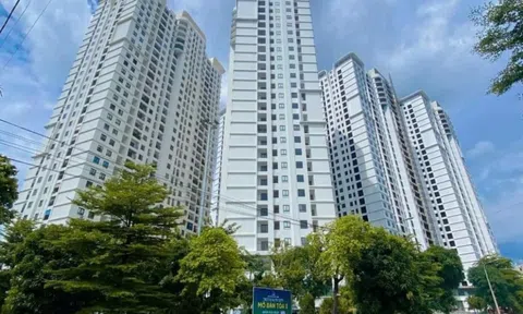 Chuyên gia dự đoán giá chung cư 2026