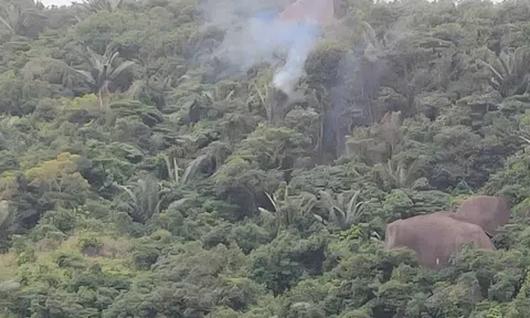 Sự cố máy bay YAK-130 rơi tại Đắk Lắk: Phi công điều khiển máy bay tránh xa khu dân cư