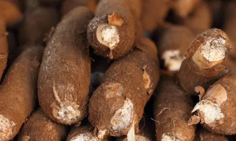 Sản vật được ví như "vàng trắng" dưới lòng đất hơn tỷ USD của Việt Nam xuất khẩu top 3 thế giới đang gặp khó