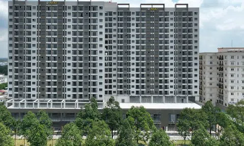 Him Lam, IDICO… thực hiện chỉ đạo “nóng” của Thủ tướng