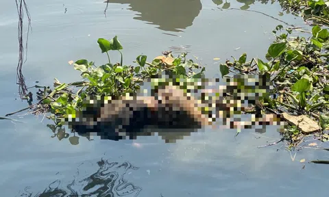 Thi thể cao 1,69 m, túi quần có số 233 trôi trên sông Sài Gòn