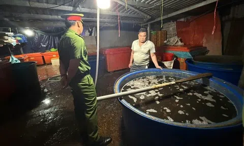 Thực phẩm bẩn và nỗi lo "vị đắng" trên mâm cỗ Tết