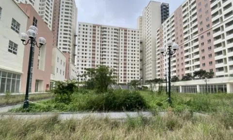 7 hành vi vi phạm về đất đai có thể bị khởi tố, người dân cần lưu ý