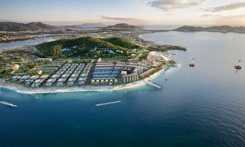 Vinhomes Pearl Bay: Di sản vượt thời gian chinh phục giới sưu tầm hàng hiệu