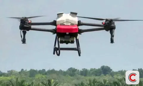 Thành phố đầu tiên ở Việt Nam giao hàng bằng drone, bắt đầu vận hành từ tháng 3 này