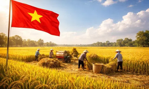 3 lần được vinh danh số 1 thế giới: "Vàng trắng" của Việt Nam khiến loạt quốc gia mê mẩn