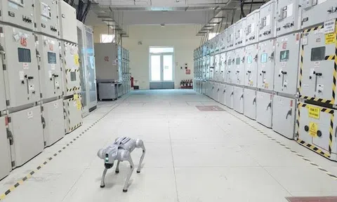 Phát hiện "mắt thần" tại trạm biến áp của EVNHANOI: Không cần con người vẫn có thể đọc rơle, truy tìm lỗi