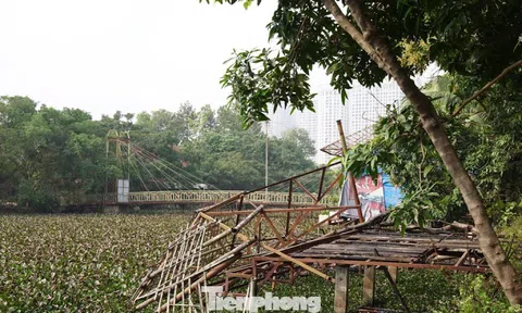 Khu sinh thái 15ha giữa Hà Nội bị bỏ hoang, hóa thành bãi rác, sân pickleball