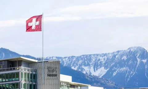 Lo ngại độc tố, Nestlé rầm rộ thu hồi sữa tại châu Âu