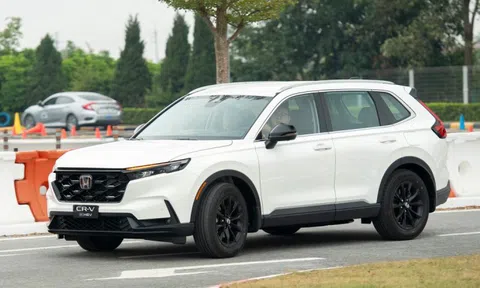 Thêm xe hybrid được giảm giá tại Việt Nam