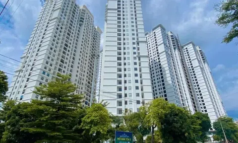 Bất động sản năm 2026: Dòng tiền sẽ chảy vào đâu?