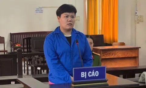 Thủ đoạn lừa đảo tiền tỉ của người phụ nữ có 2 quốc tịch