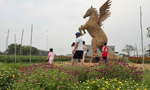 Độc đáo linh vật ngựa khổng lồ bằng rơm ở Tây Ninh