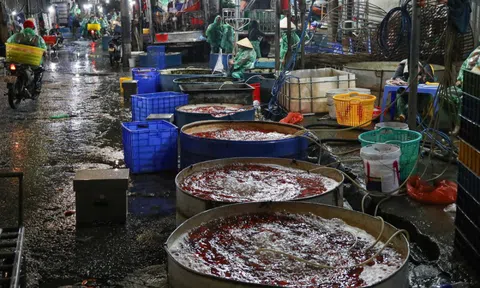 Giá cá chép tiễn ông Công ông Táo giảm, chợ lớn nhất Hà Nội vẫn vắng khách mua