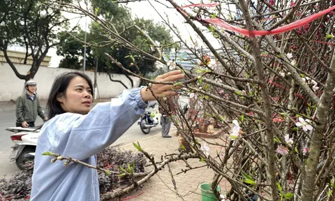 Dự báo chi tiết thời tiết cả nước dịp Tết Nguyên đán Bính Ngọ 2026