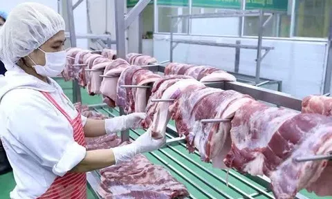 Việt Nam xếp thứ 4 thế giới về tiêu thụ thịt lợn