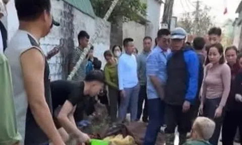 Dựng cây nêu đón Tết, 3 thanh niên bị điện giật phải nhập viện cấp cứu