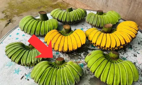 Không phải chuối ngự, chuối tiêu xanh, đây mới là nải chuối đắt nhất sạp: Lý do vì sao?