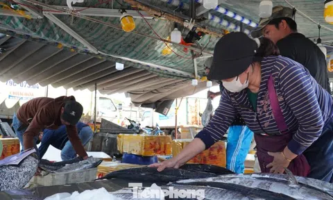 27 Tết: Cá thu giá 'chát' vẫn bán vèo vèo