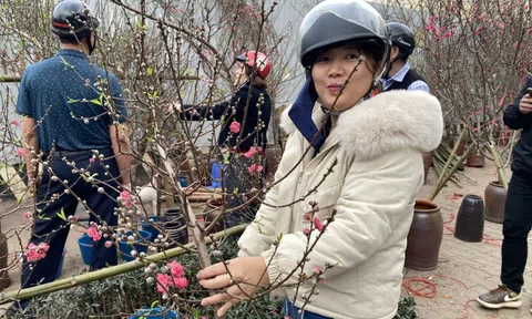 Dự báo thời tiết Tết Nguyên đán, xuất hiện diễn biến mới vào đêm giao thừa