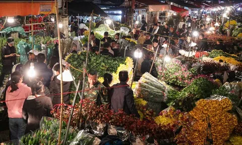Đêm không ngủ tại chợ hoa Tết lớn nhất Hà Nội