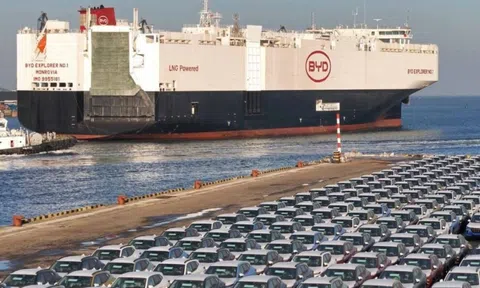 Sát vách Mỹ, hơn 6 triệu dân tại quốc gia này muốn mua xe điện Trung Quốc