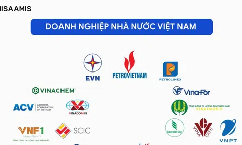 Nhiều doanh nghiệp nhà nước vào diện cơ cấu lại vốn