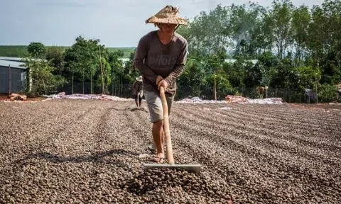 Campuchia vừa đạt được một việc chưa từng có trong lịch sử nhờ Việt Nam và Trung Quốc