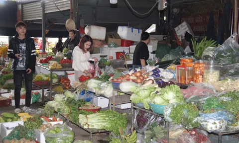 Hàng hóa, thực phẩm sau Tết sôi động trở lại, giá ổn định