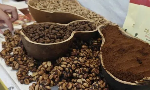 Giá cà phê hôm nay 21-2: Chốt tuần giảm, sắp chạm sàn