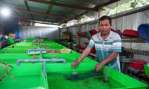 Thầy giáo dạy Sinh thu 2 tỷ đồng/năm từ bầy "quái vật" không vảy trong bóng tối