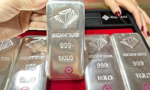 Người mua bạc kỳ vọng điều gì trong năm Bính Ngọ 2026?