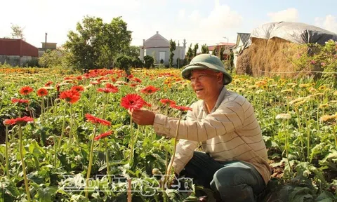 Anh nông dân lãi 1,2 tỷ đồng từ loài hoa hễ hé nụ là có người tới "cướp"