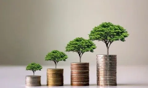 Loạt doanh nghiệp chốt quyền trả cổ tức tuần đầu năm mới từ ngày 23/2-27/2