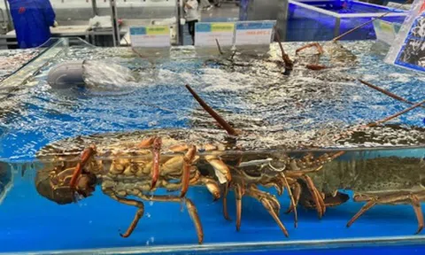 Việt Nam vừa đón một tin cực vui từ Trung Quốc