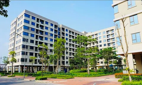 Được ưu tiên mua nhà ở xã hội khi bị thu hồi đất vì mục đích quốc phòng, an ninh