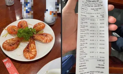 Mạng xã hội tranh luận về dĩa tôm 300.000 đồng ở Phú Quốc dịp Tết